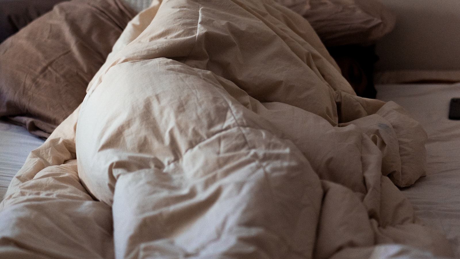 Embracing Comfort and ⁣Safety: Tink's Innovative Solutions for a Cozier and More Secure Home